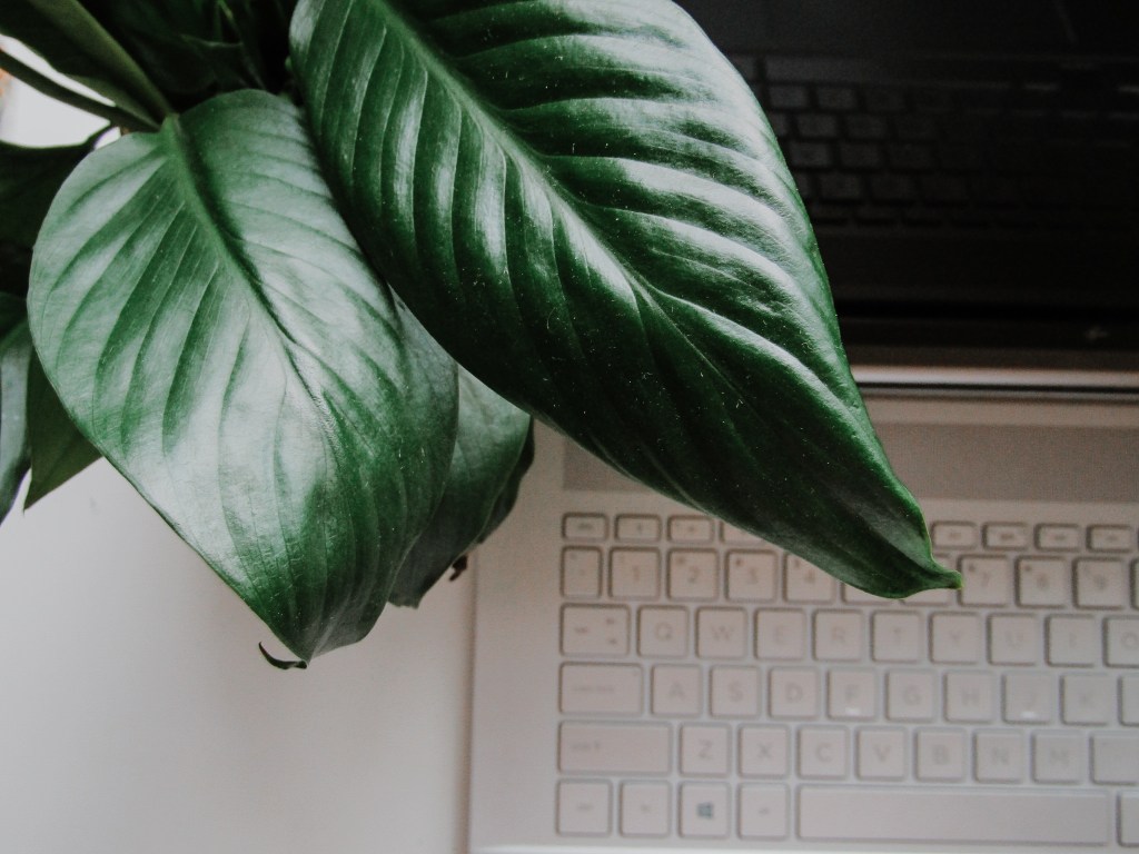 ever roam creative content writing